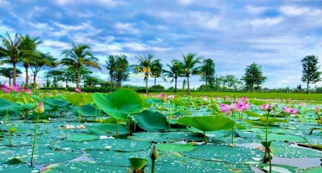 ban-nha-quan-9-park-riverside-view song-dep08.jpg